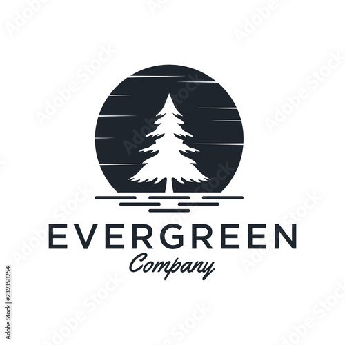 Evergreen / Pine tree Logo design inspiration - Vector