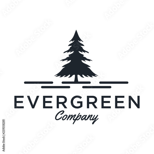 Evergreen / Pine tree Logo design inspiration - Vector
