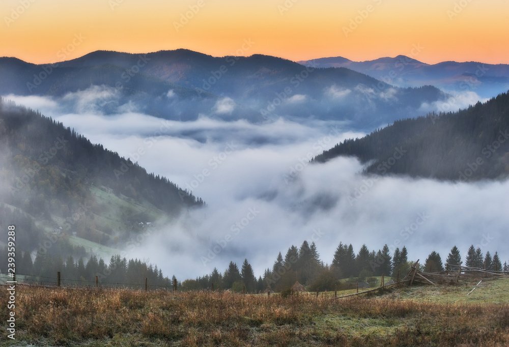 Fototapeta premium autumn sunrise in the Carpathian mountains. picturesque foggy morning