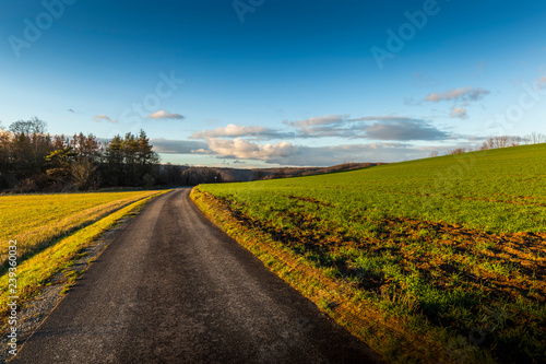 Fototapeta Naklejka Na Ścianę i Meble -  Autumn countryside asphalt road.