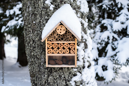 wooden insect house hung on tree in winter snow photo