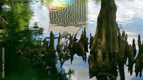 My  Hidden  Paradise.