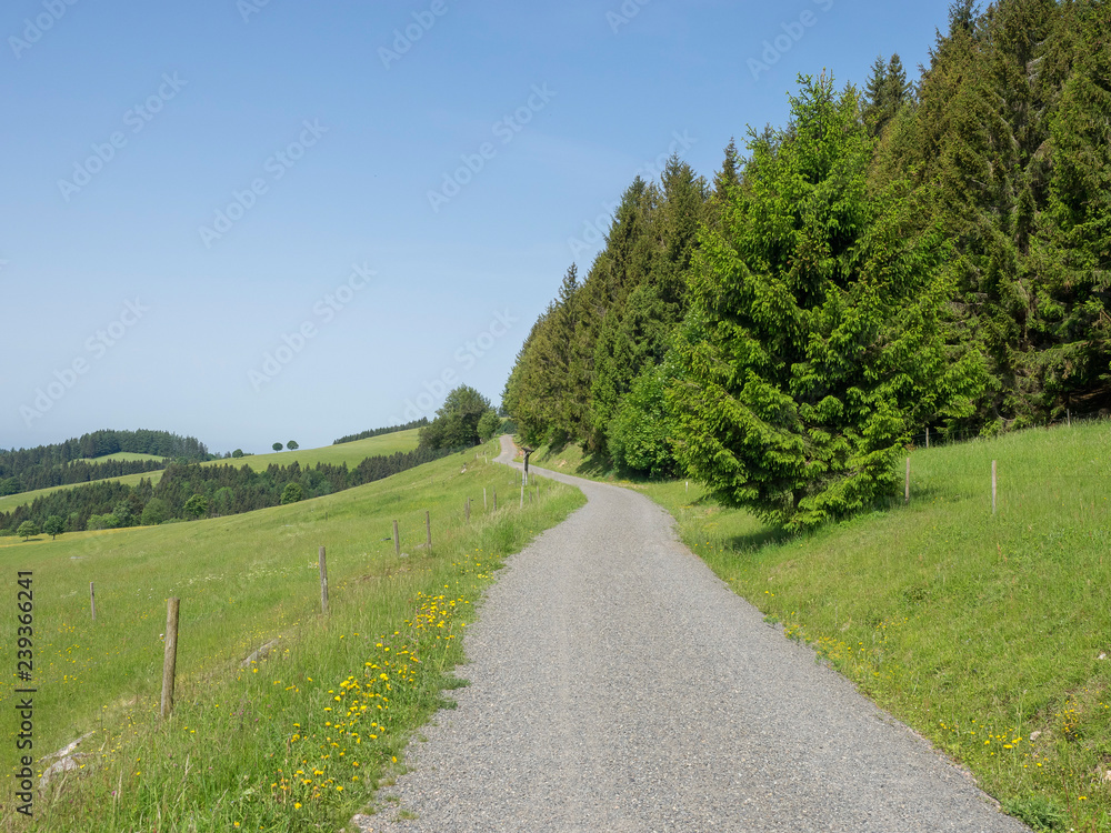 Schwarzwald. Gersbach im Berg. Panoramaweg entlang des Berges Rohrenkopf