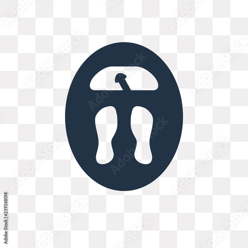 Big Scale vector icon isolated on transparent background, Big Scale  transparency concept can be used web and mobile