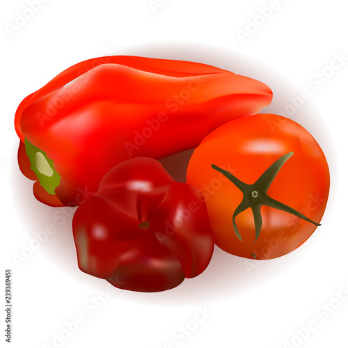 Pimiento rojo, morron, tomate rojo, fondo blanco, verduras, vitaminas, comida sana, vector, realismo vectorial, comida sana, dieta.