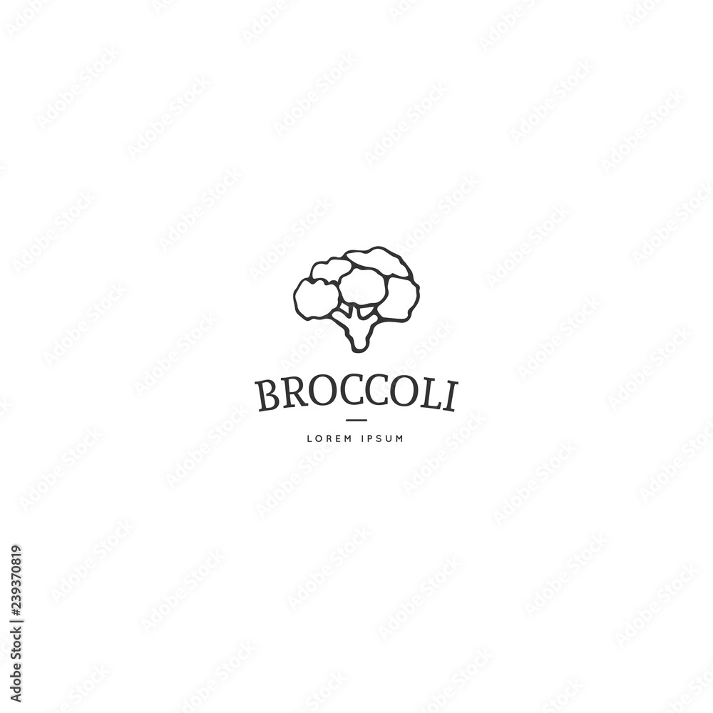Kitchen logo template, broccoli. Vector hand drawn object. Kitchen logo template, broccoli. Vector hand drawn object.