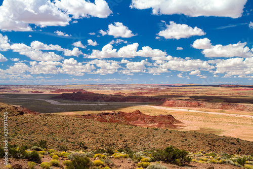 Wide open land of the Panited Desert in Arizona, USA
