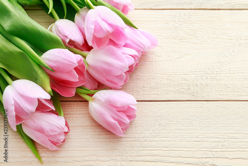 Beautiful pink and white tulips on wooden background