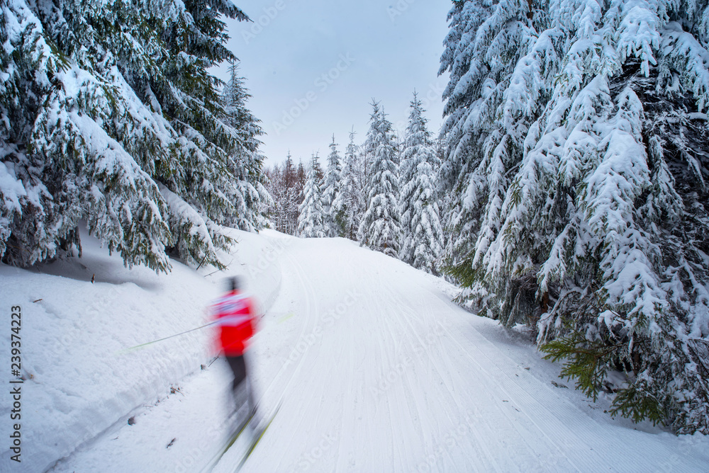 Cross country Skier in beautiful white winter landscape
