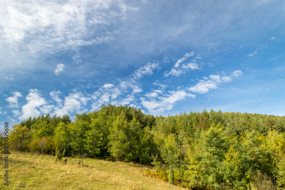 Green meadow and forest in front of the blue sky with clouds