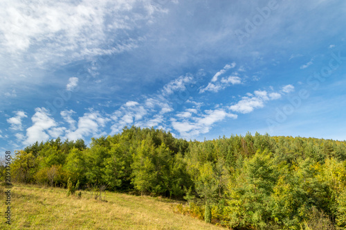 Green meadow and forest in front of the blue sky with clouds