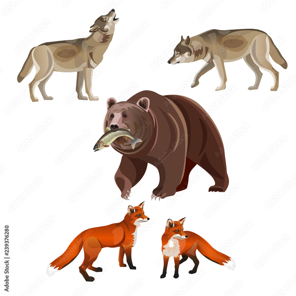 Predatory beasts vector