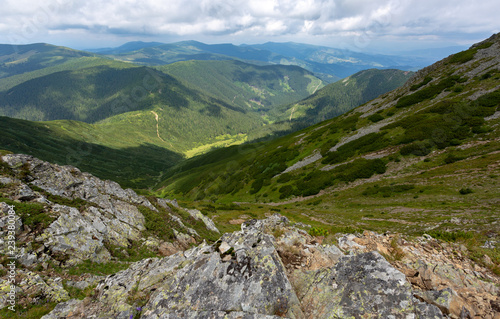 One of the last virgin forests in Europe are located in Romania. They are of a rare beauty, but the authorities don't do that much to protect them. © Andrei