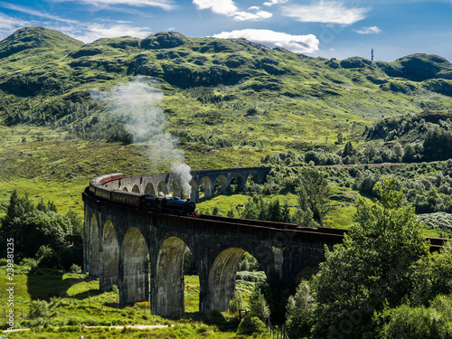Steam Train passing a viaduct between Fort William and Mallaig