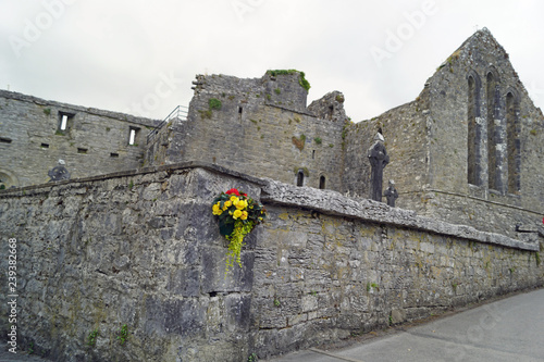 Ruin in Ashford, Ireland photo