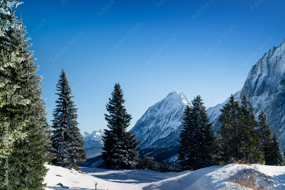 Alpenlandschaft im Winter