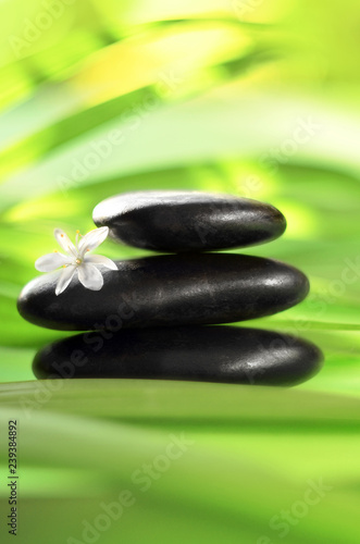 Zen stones with leaves and white flower. Spa concept.