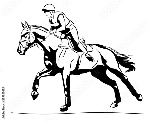 Equestrian sport, eventing. Rider cantering on a horse. © irinamaksimova