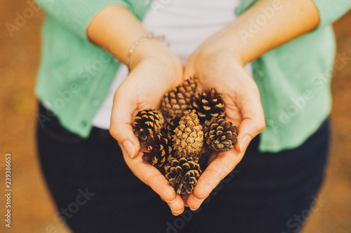 Woman holding pine cone, closeup girl shows in frame Christmas cones in the palm