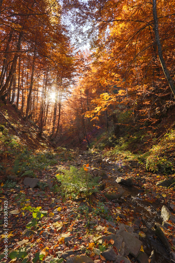 river, mountain stream,autumn river, mountain stream,autumn