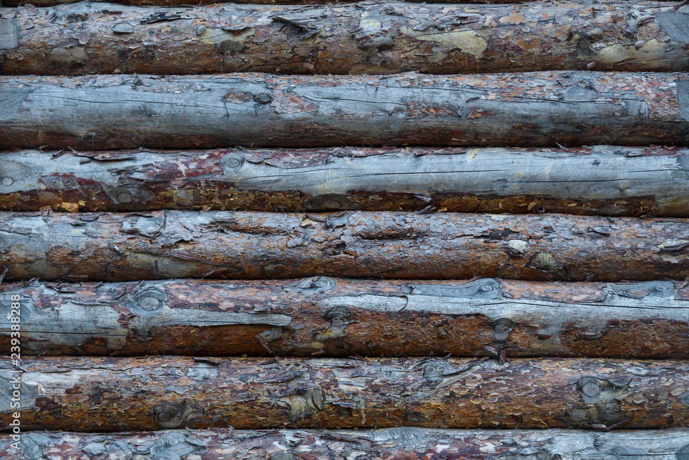 Fragment of a wooden fortress wall from raw logs. Texture. Fragment of a wooden fortress wall from raw logs. Texture.