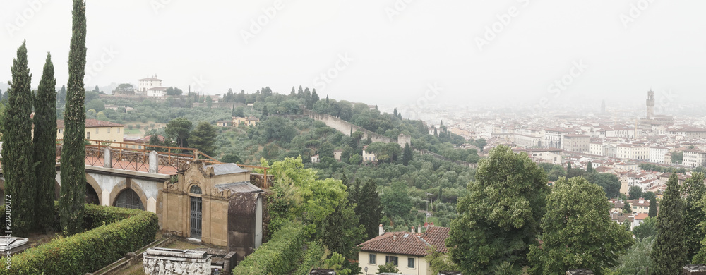 Panorama of Florence in the fog