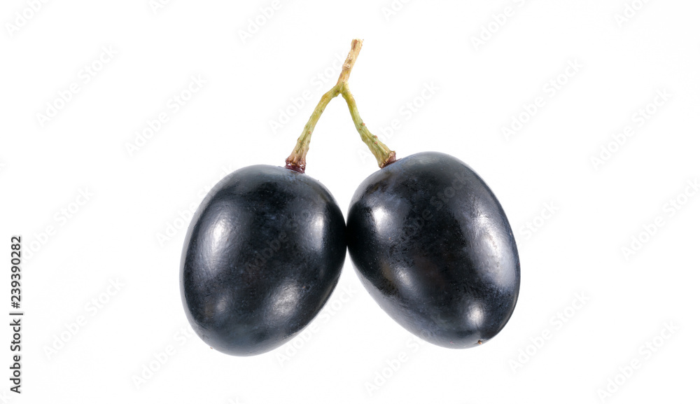 Grapes on a white background Grapes on a white background