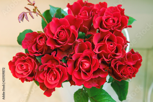 bouquet of red roses