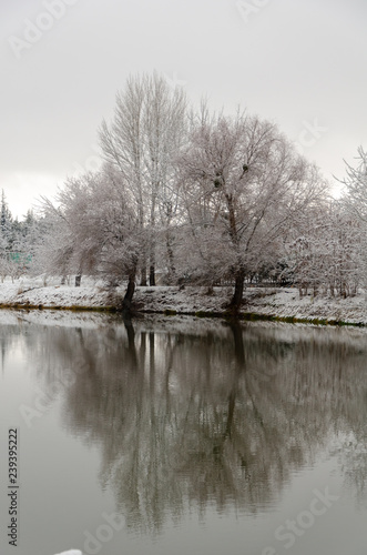 Winter landscape with snow covered at the park and reflection .
