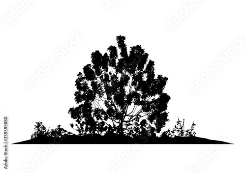 Realistic silhouette of a Bush with leaves (vector illustration)