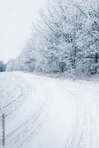 Winter landscape. Composition of nature.Winter road and trees © Andrii