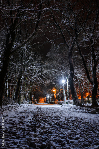 night park in winter snow with a row of lamps