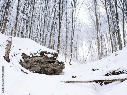 Winter landscape. Composition of nature.Winter road and trees