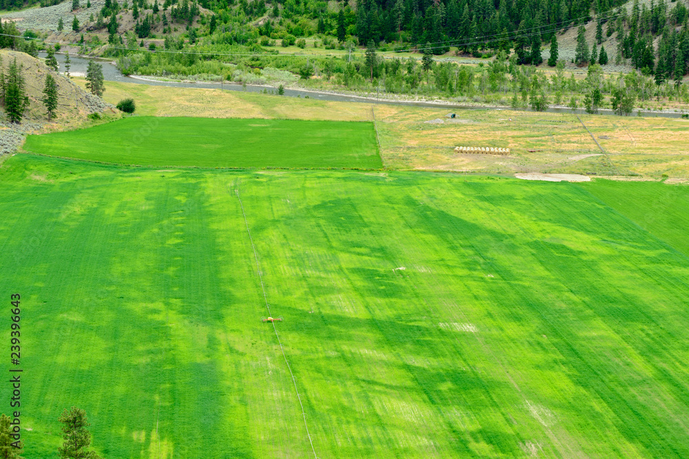 Farm field by the Nicola River in British Columbia, Canada Farm field by the Nicola River in British Columbia, Canada