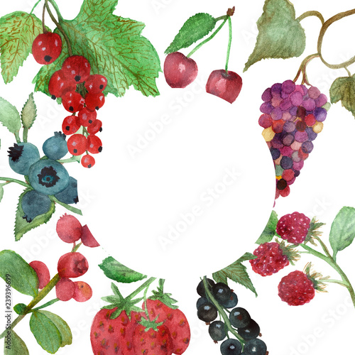 Watercolor berries  round frame with green leaves and cranberry  cherry  currant and grape berries on branches isolated on white background  hand painted berries for beautiful design.