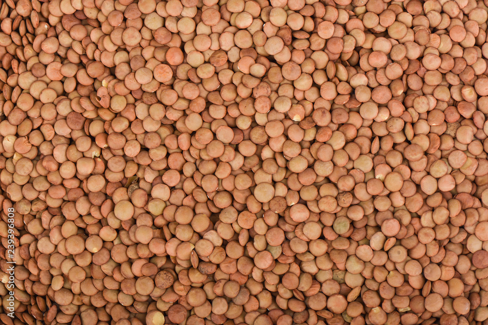 Green Canadian large lentils. Lentil background, texture. Green Canadian large lentils. Lentil background, texture.