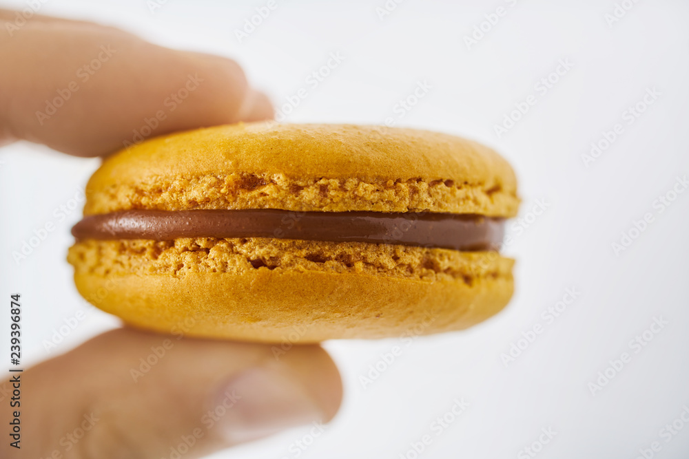 Hand holding a macaron cookie Hand holding a macaron cookie