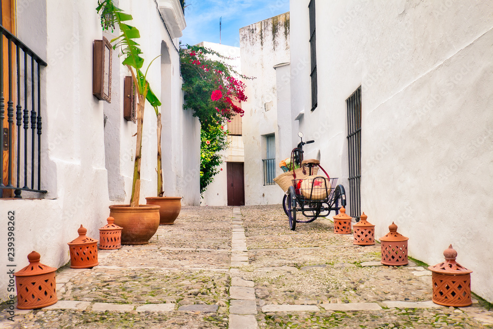 Φωτογραφία Beautiful street of Vejer de la Frontera, a beautiful town in the south of Spain