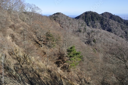 丹沢山より丹沢三峰