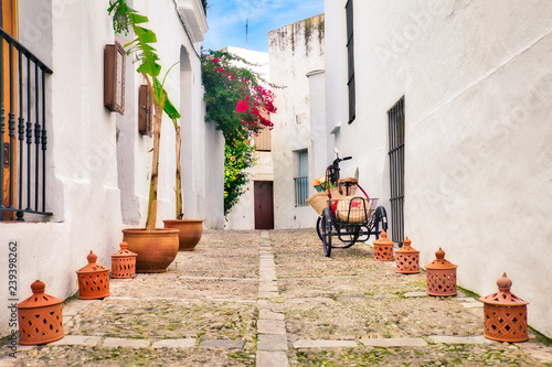 Beautiful street of Vejer de la Frontera, a beautiful town in the south of Spain photo