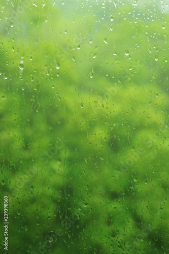 Water droplets on window glass during the rain with blurry green foliage in background 
