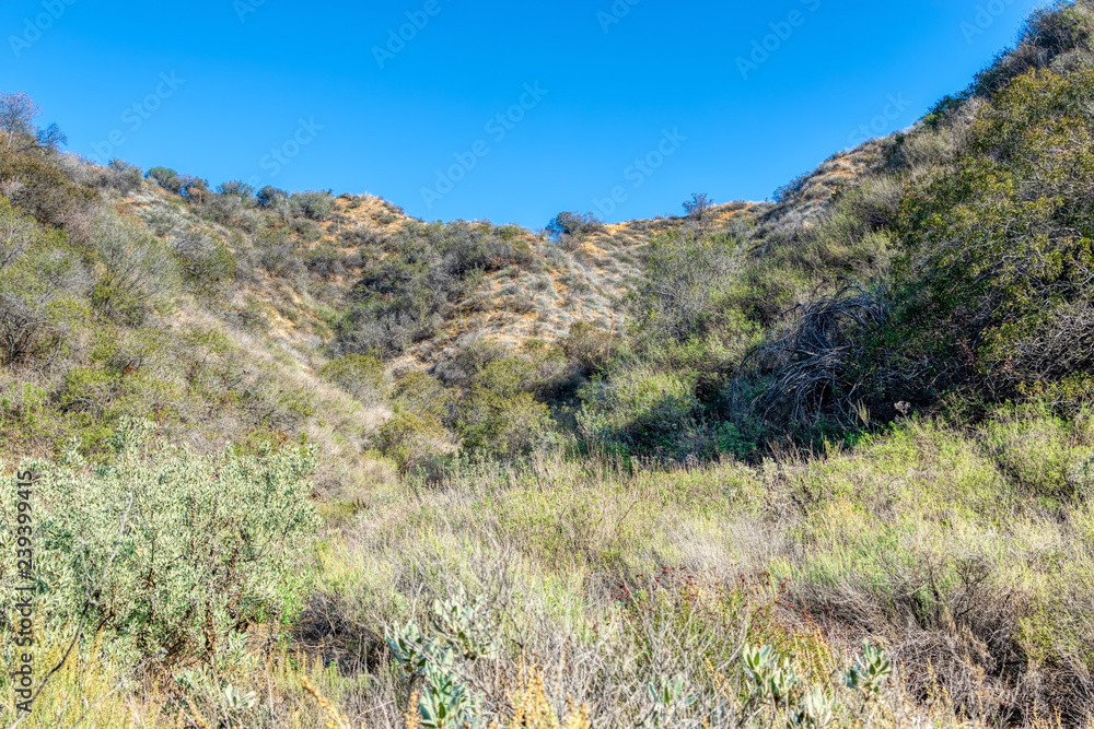 Landscape in the mountains in Southern California winter