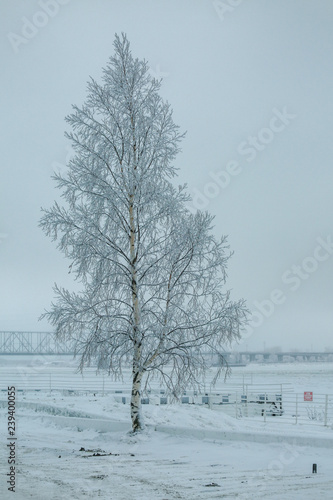 Russian winter. Arkhangelsk