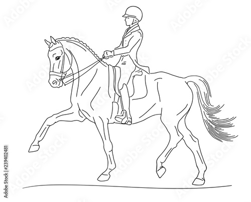 Equestrian sport, advanced dressage test, expression trot 