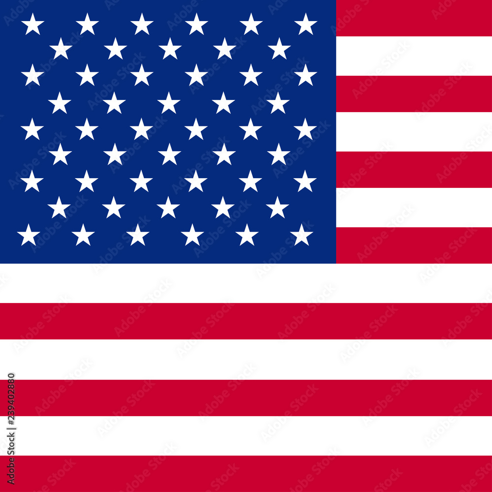 Flag of America Flag of America
