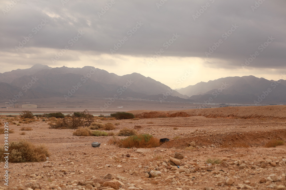 Naklejka premium Field with mountains in desert.