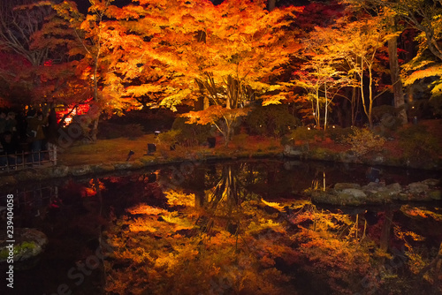 紅葉でライトアップされた松島円通院水鏡の心字池 Stock Photo Adobe Stock 紅葉でライトアップされた松島円通院水鏡の心字池 Stock Photo Adobe Stock