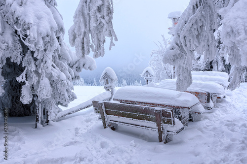 Wallpaper Mural Bench Torontodigital.ca