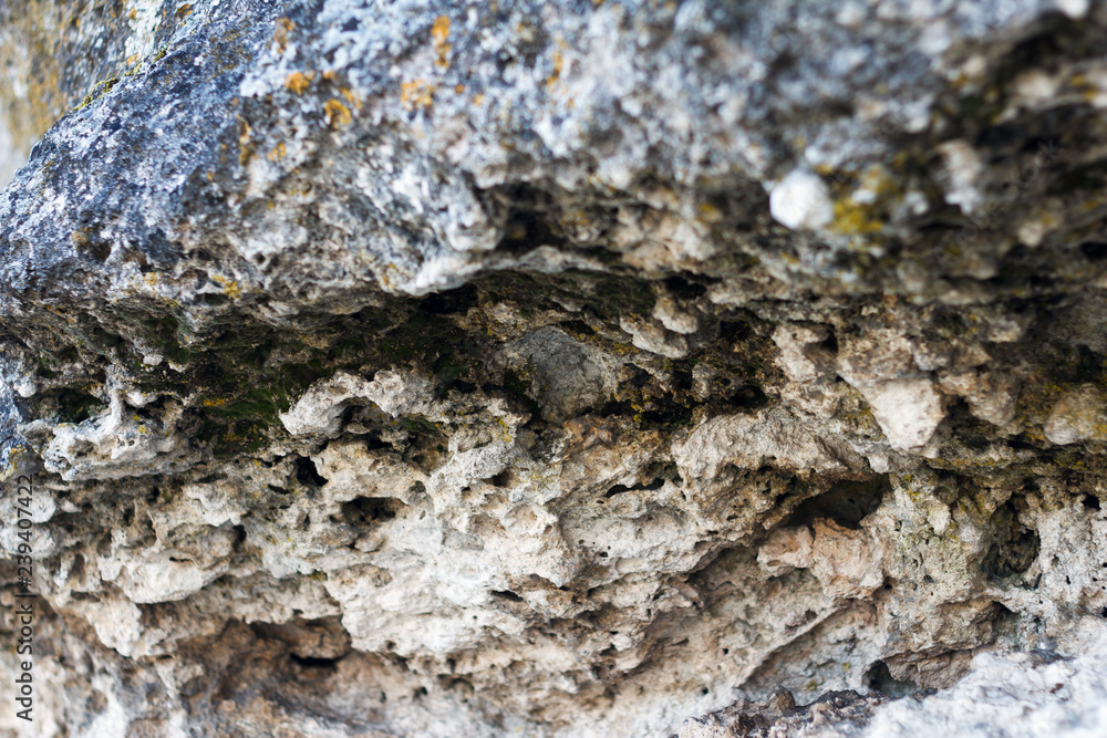 Relief surface of the rock Relief surface of the rock