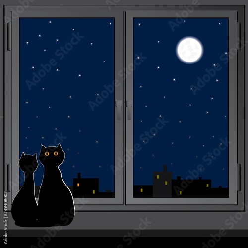 Two cats sit on the windowsill and look at the night city.